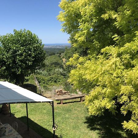 Haus Malerin - Meerblick, Umzaeunter Garten By Toscanatour Guardistallo Extérieur photo